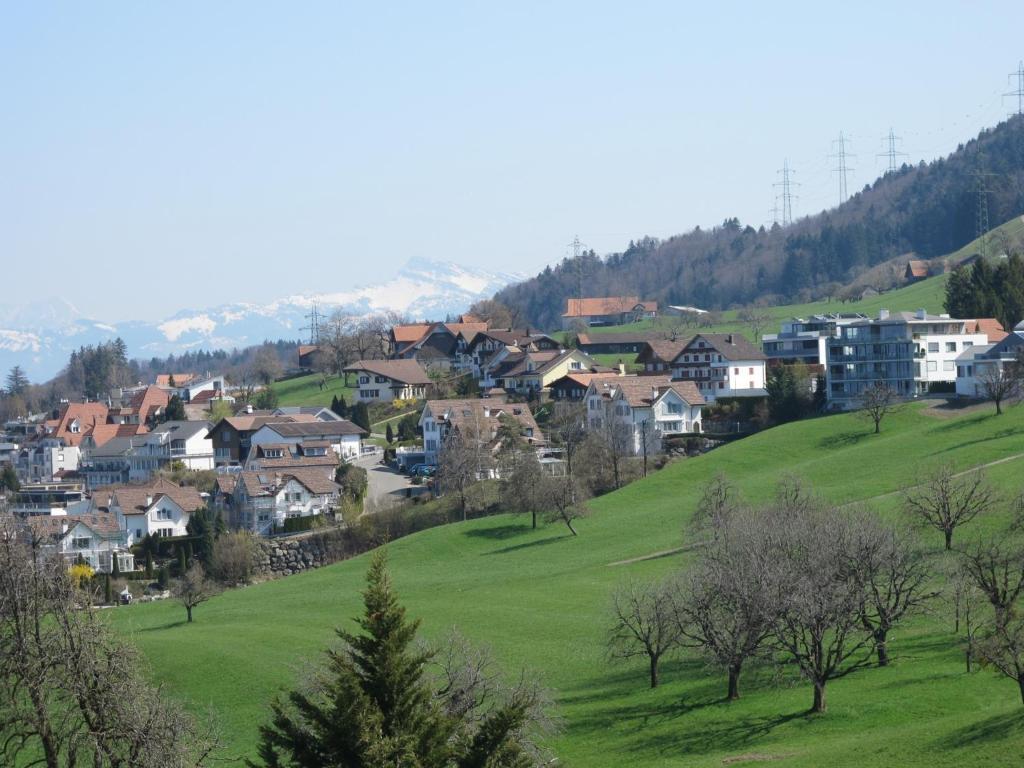 Classic Einzelzimmer - ohne Zugang zum Spa